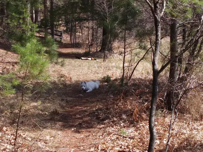 Guernsey Lake State Forest Campground 8