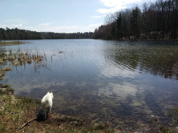 Guernsey Lake State Forest Campground 9