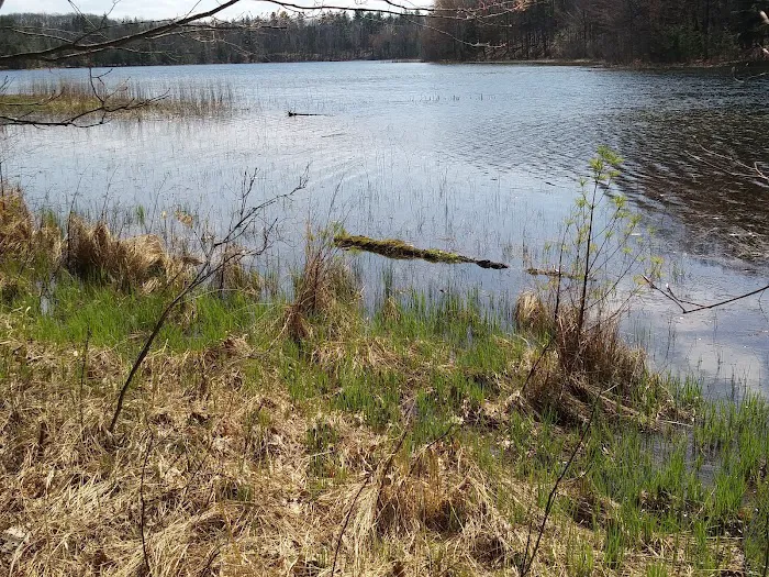 Guernsey Lake State Forest Campground 10