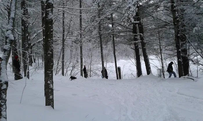 Log Lake Campground 8
