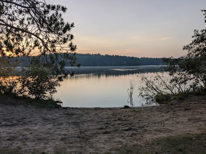 Arbutus Lake State Forest Campground 4