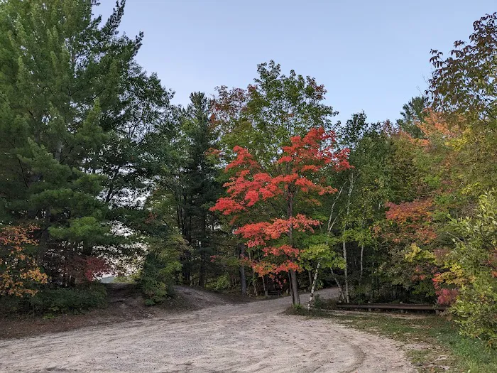 Arbutus Lake State Forest Campground 2
