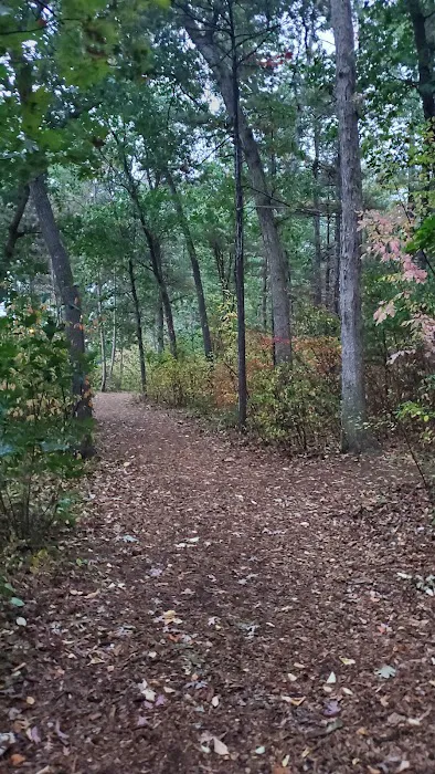Traverse City State Park Campground 4