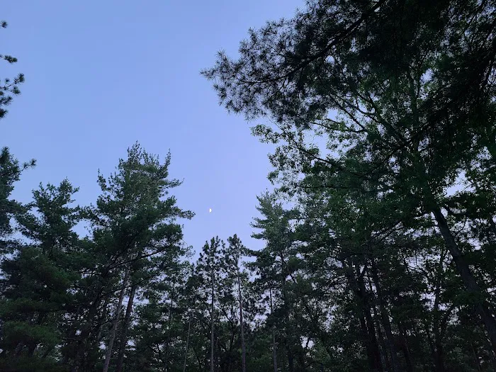 Traverse City State Park Campground 9
