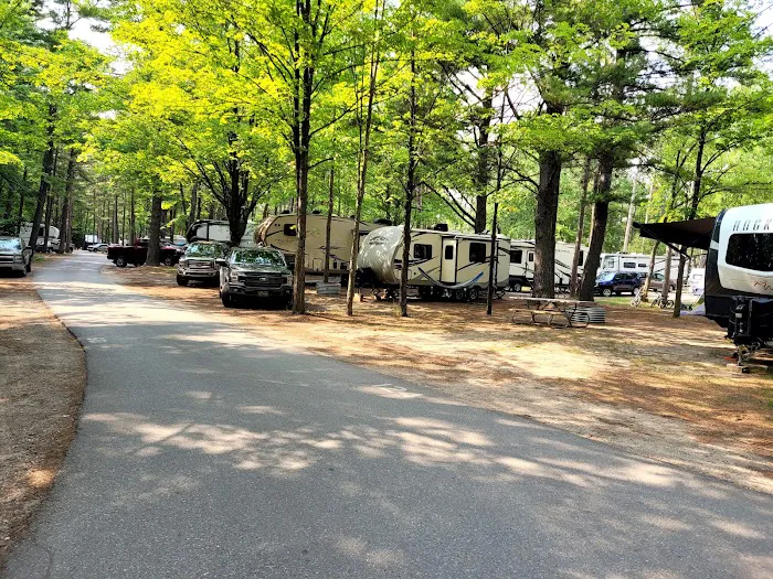 Traverse City State Park Campground 8