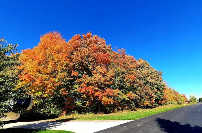 Traverse Bay RV Resort 3