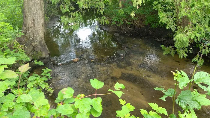 Everflowing Waters Campground 1