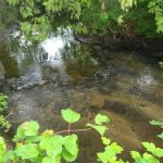 Everflowing Waters Campground