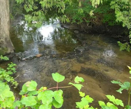 Everflowing Waters Campground