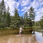 Manistee River Bridge State Forest Campground