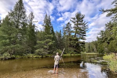Manistee River Bridge State Forest Campground