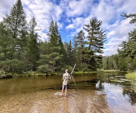 Manistee River Bridge State Forest Campground
