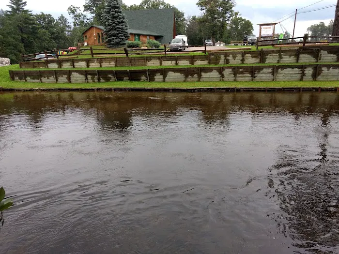 Manistee River Bridge State Forest Campground 4