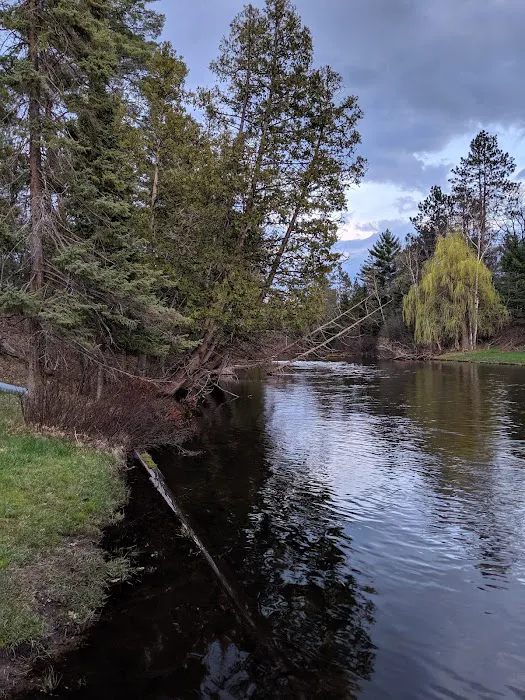 Manistee River Bridge State Forest Campground 7