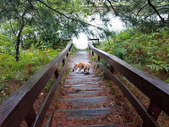 Manistee River Bridge State Forest Campground 8