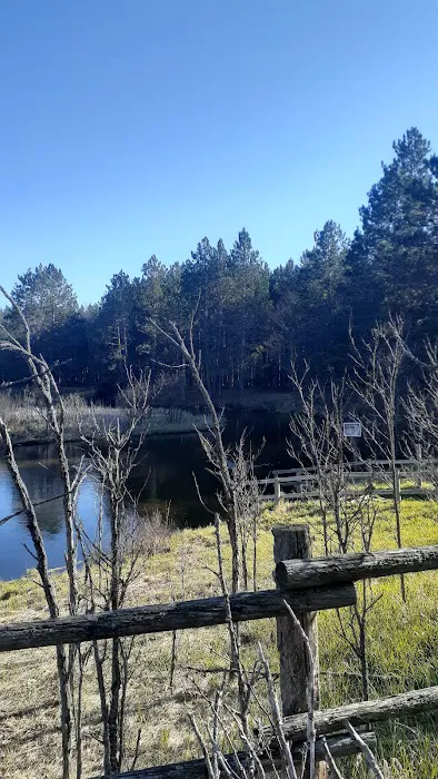 Upper Manistee River State Forest Campground 6