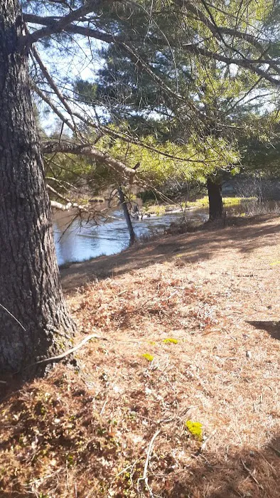 Upper Manistee River State Forest Campground 7