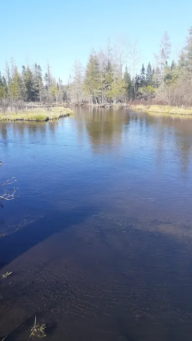 Upper Manistee River State Forest Campground 1