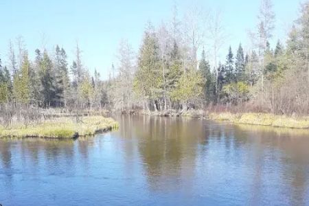 Upper Manistee River State Forest Campground
