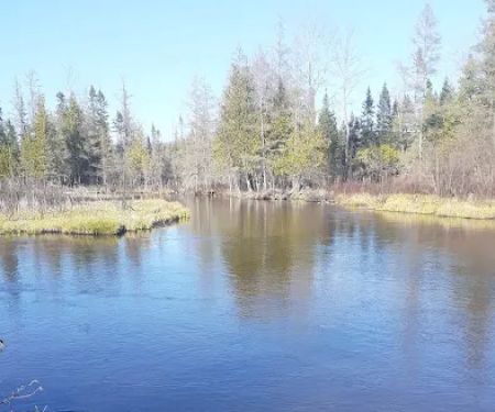 Upper Manistee River State Forest Campground