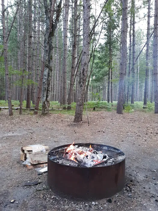 Upper Manistee River State Forest Campground 9