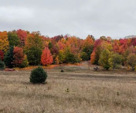 OffBeat Acres - Camp Chill AF!