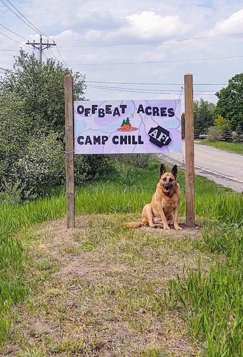 OffBeat Acres - Camp Chill AF! 7