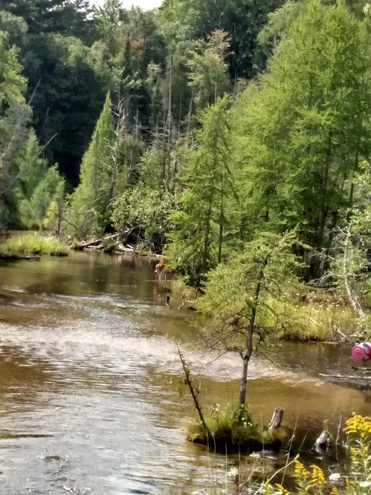 Rapid River Campground & Cabins 8