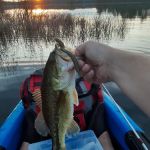 Muskrat Lake State Forest Campground