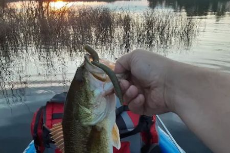 Muskrat Lake State Forest Campground