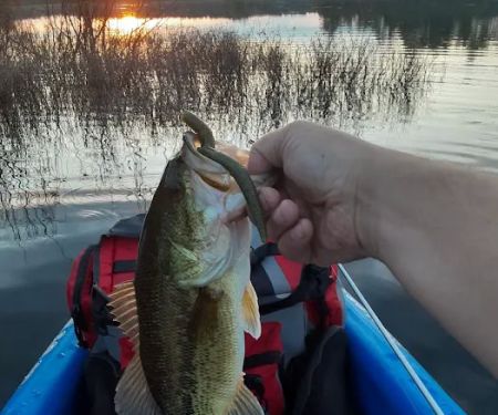 Muskrat Lake State Forest Campground