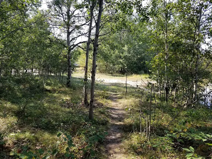 Muskrat Lake State Forest Campground 2