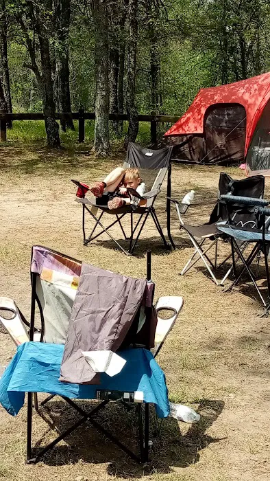 Muskrat Lake State Forest Campground 9
