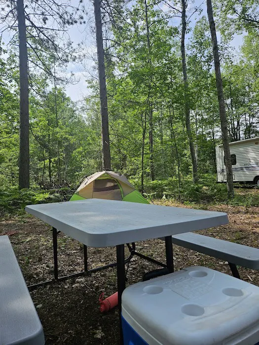 Hankerd's Horseshoe Lake Campground 5