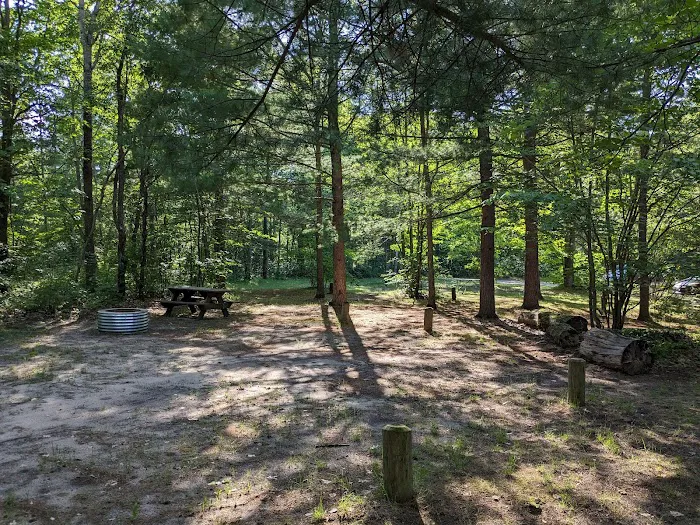 Lake Marjory State Forest Campground 3