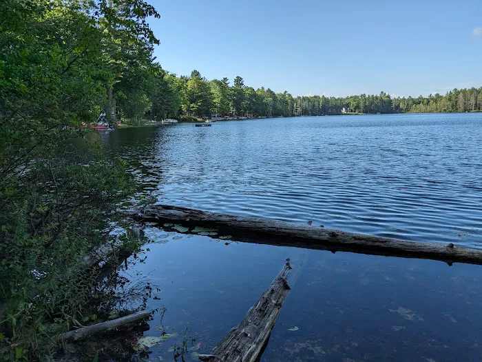 Lake Marjory State Forest Campground 9