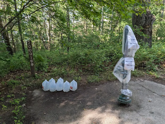 Lake Marjory State Forest Campground 5