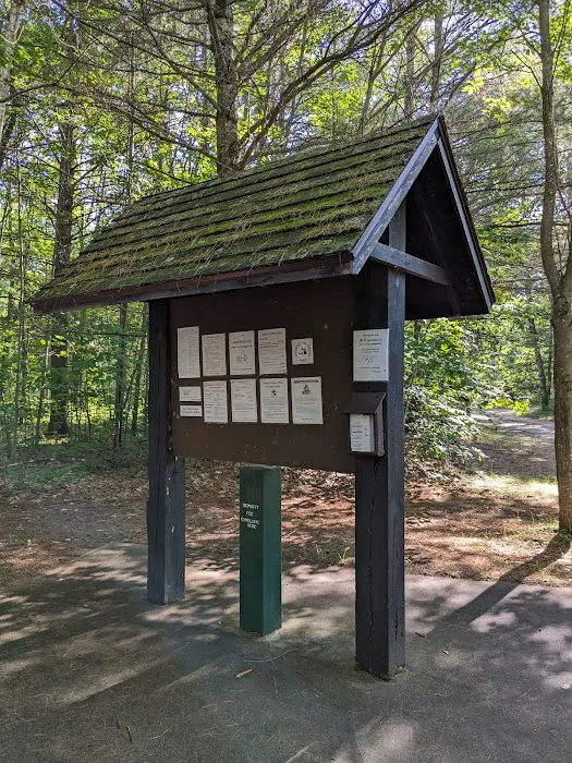 Lake Marjory State Forest Campground 4