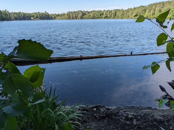 Lake Marjory State Forest Campground 1