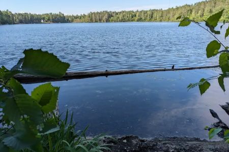 Lake Marjory State Forest Campground