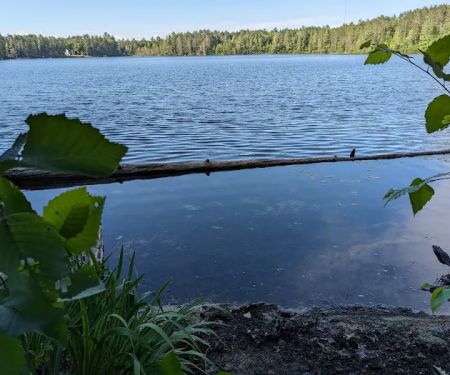Lake Marjory State Forest Campground
