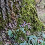 Gabions Campground and Day Use