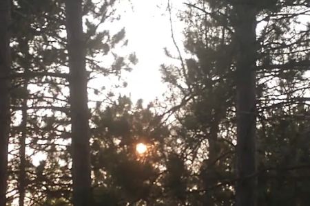 McCollum Lake State Forest Campground