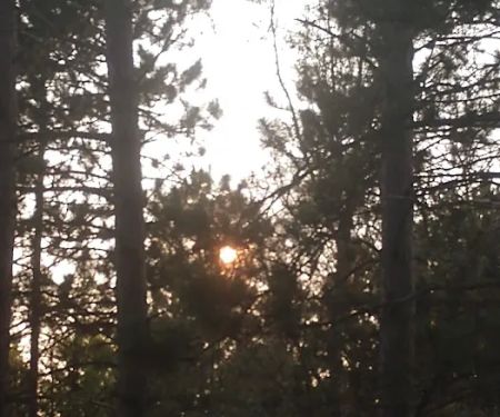 McCollum Lake State Forest Campground