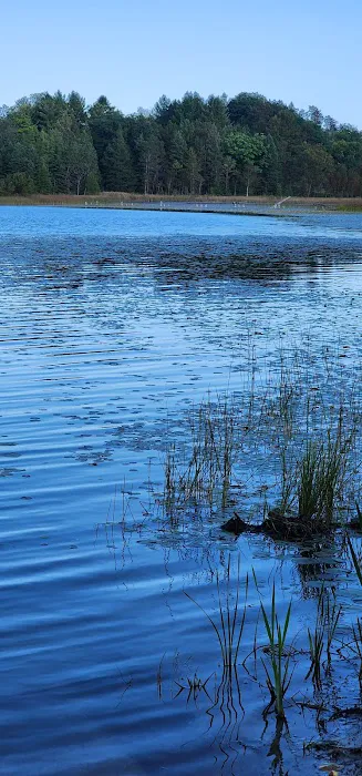 McCollum Lake State Forest Campground 4