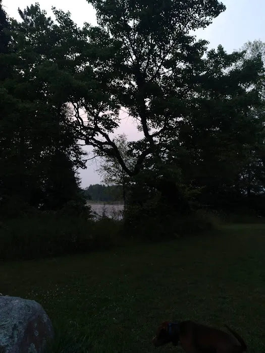 McCollum Lake State Forest Campground 5