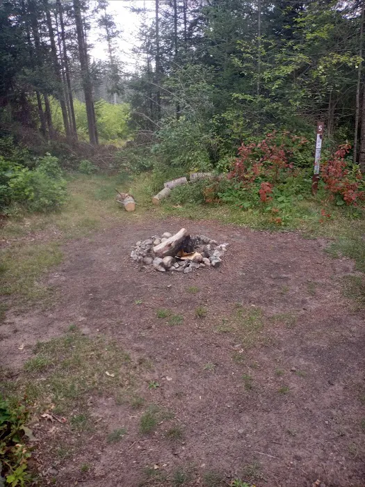 Campsite 5C Ausable River Camping 3