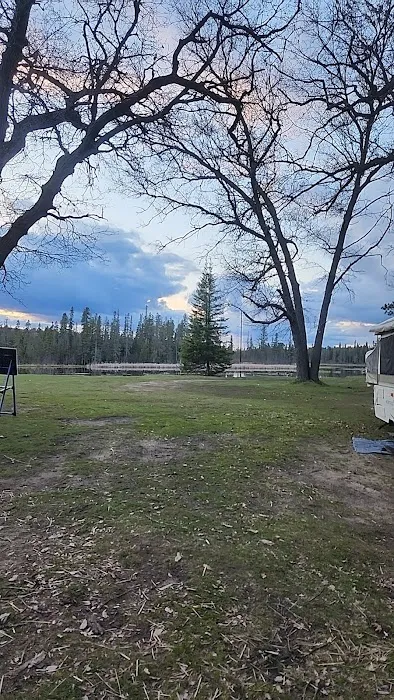 Campsite 6D AuSable River Rustic 5