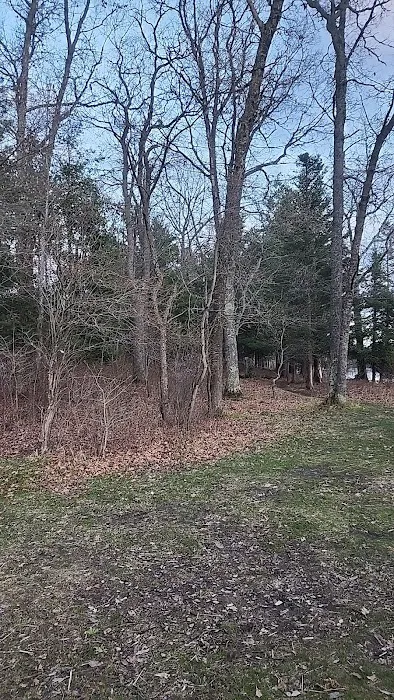 Campsite 6D AuSable River Rustic 6