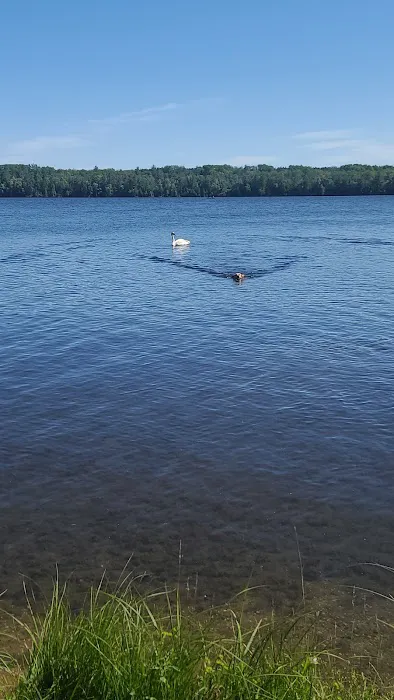 Alcona Park 8